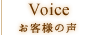 Voice